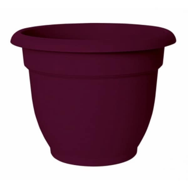 Bloem AP0829 Ariana Planter with Self-Watering Disc Insert, Passion Fruit, 8"