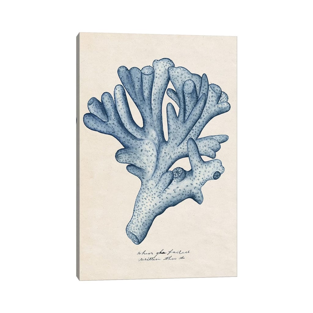 iCanvas "Sea Coral Study I" by Melissa Wang Canvas Print