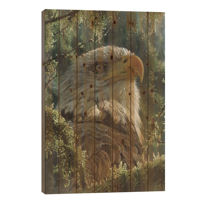 Bald Eagle - High And Mighty - Vertical Print On Wood by Collin Bogle - Multi-Color - 26x18x1.5