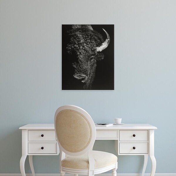 Easy Art Prints Julie T. Chapman's 'Black Glimpse I' Premium Canvas Art