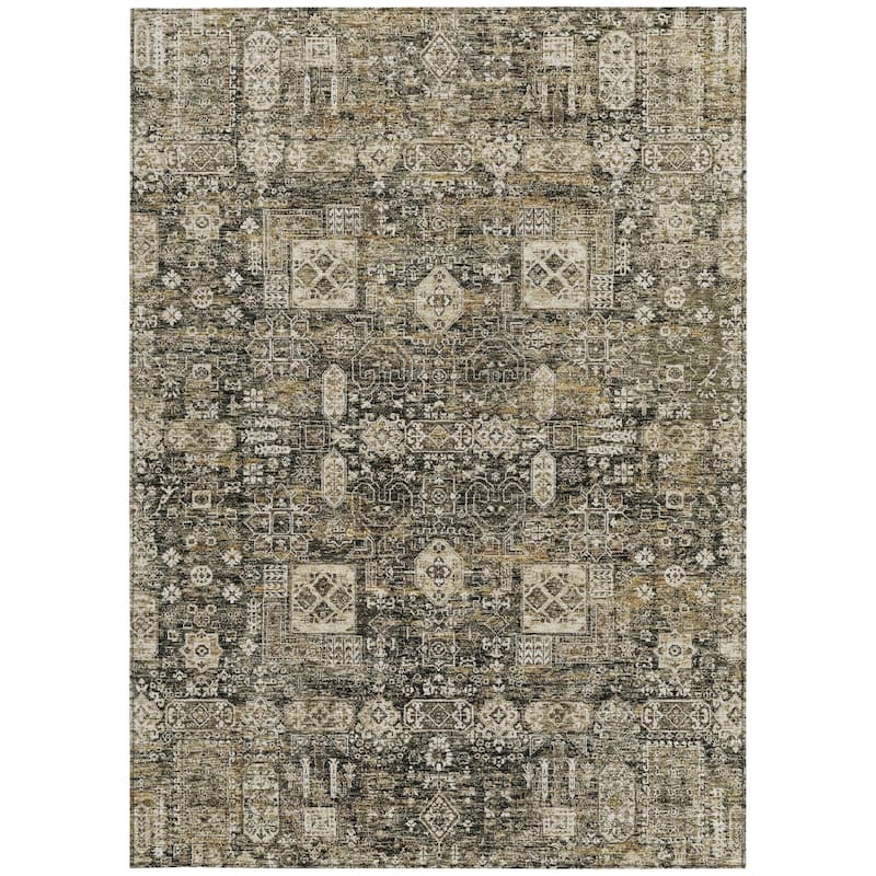 HomeRoots Oriental Transitional Rectangle Outdoor Rug