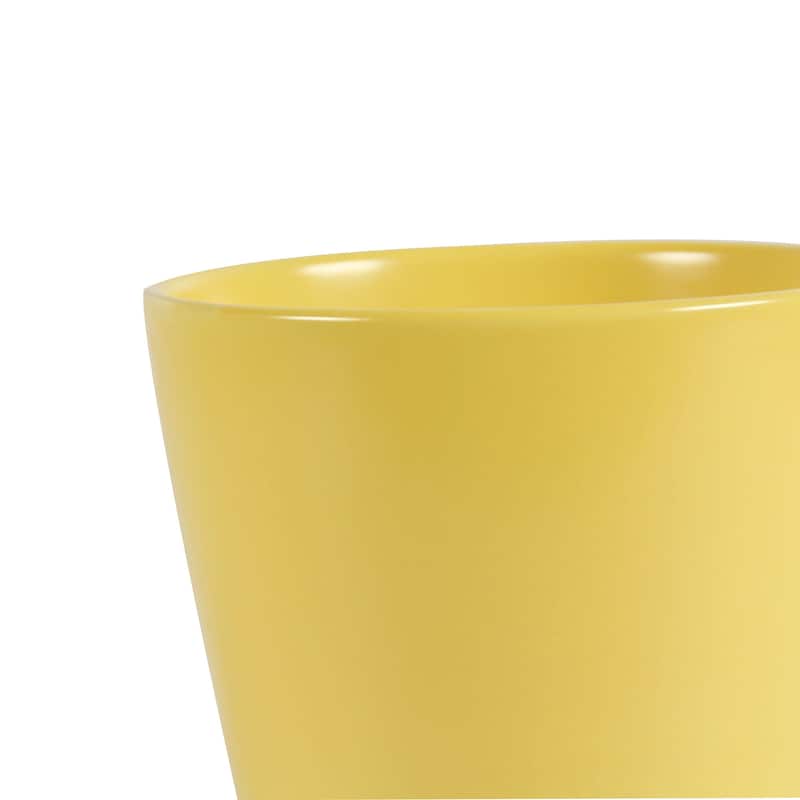 Pansy Ceramic Planter Set with Dish 2-pack