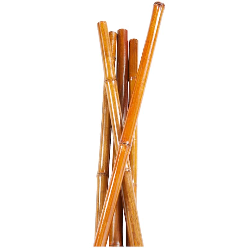 Dried Hogla Babala Bamboo Natural Foliage Collection - Multiple Colors