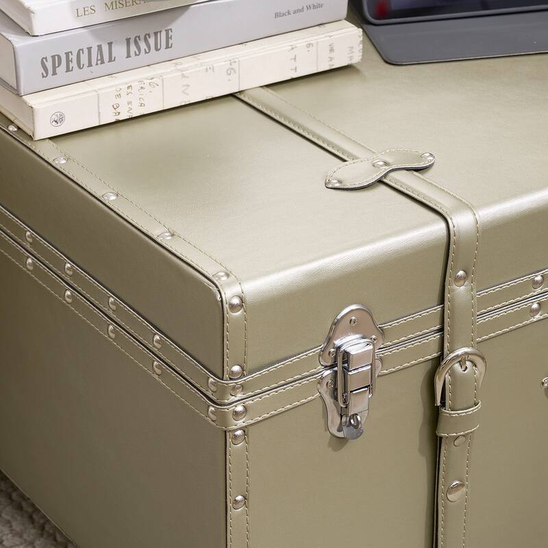 Texture® Brand Trunk - Glitter Gold by DormCo
