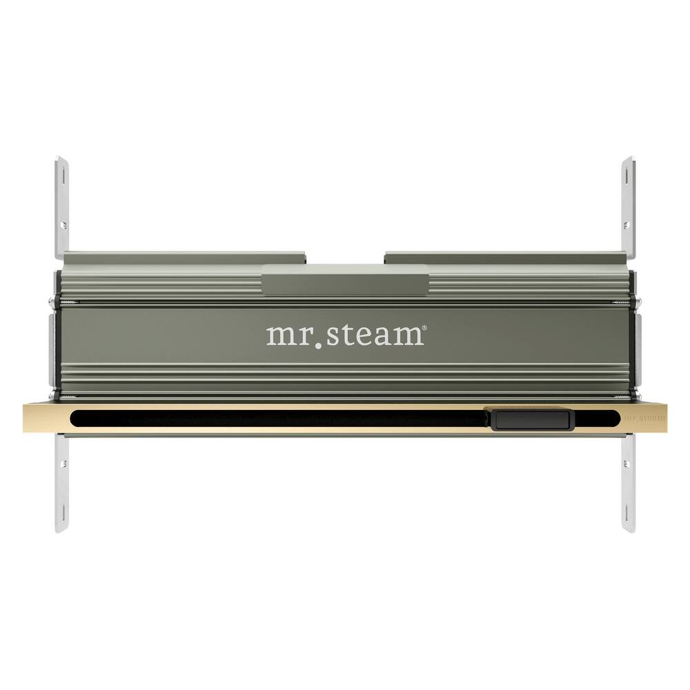 Mr Steam Linear Steam Head