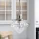 Option Nickel and Clear Glass