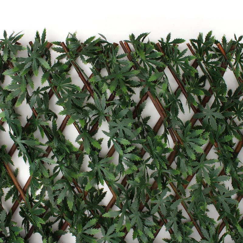 Cannabis Trellis - 20 x 108