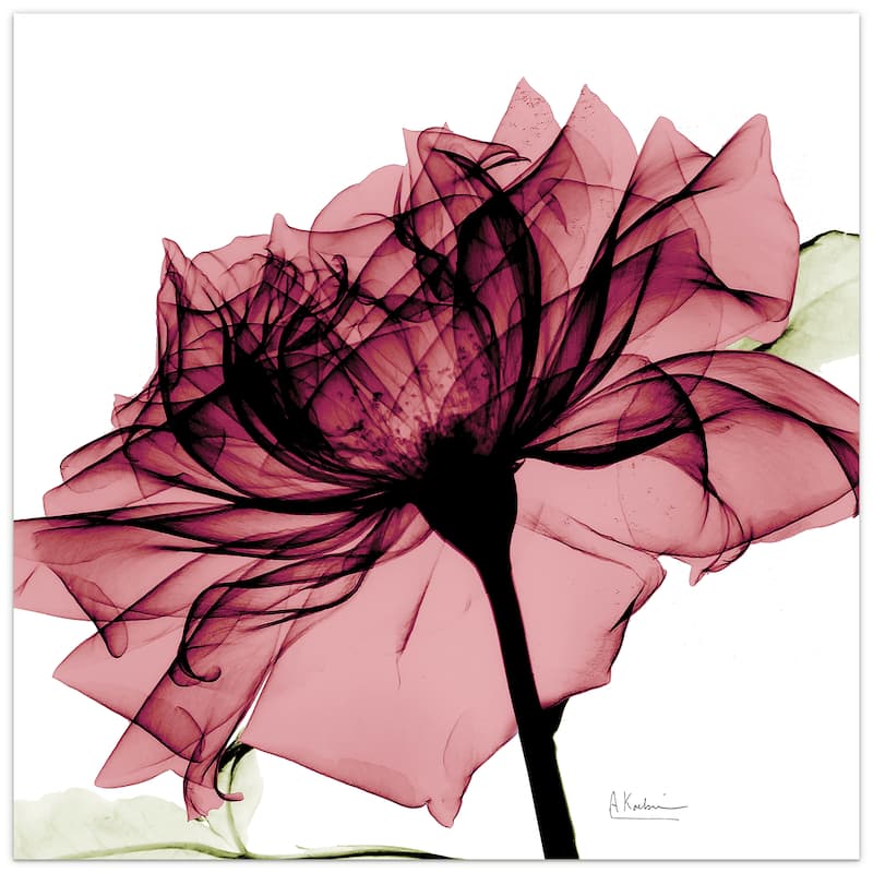 "Chianti Rose I" Rose Flower Wall Art on Frameless Free Floating Tempered Glass Panel - Pink