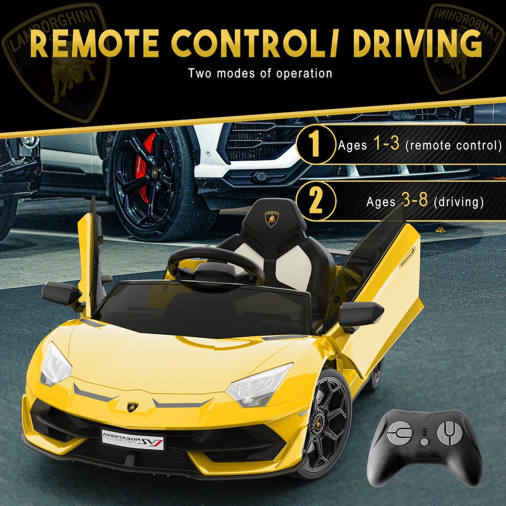 Battery Powered Sports Car with Control