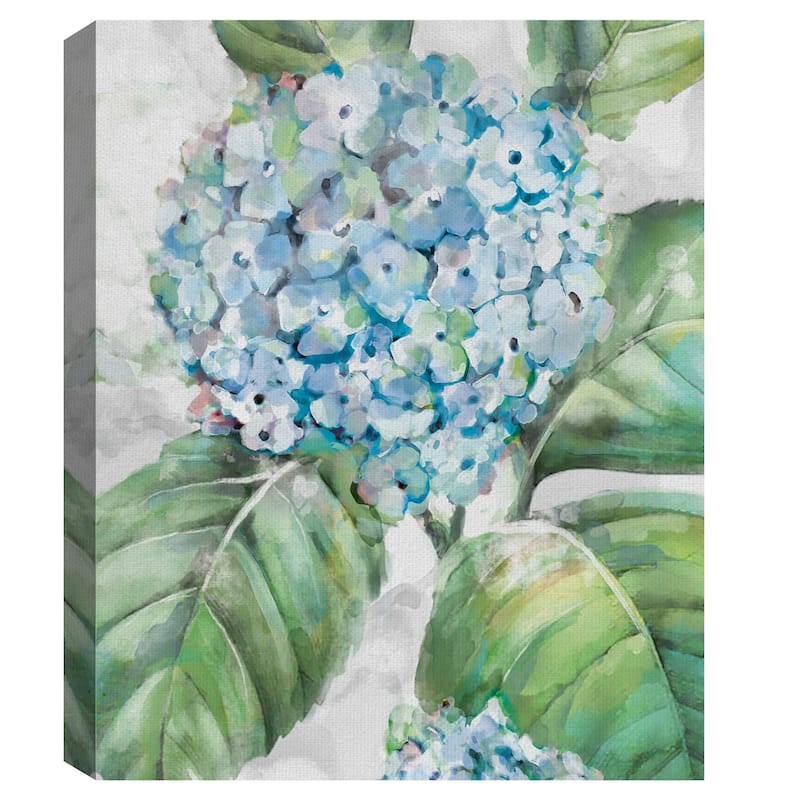 Hydrangea Portraits I-II Canvas Art Prints