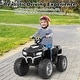 preview thumbnail 47 of 58, Honeyjoy 24V Kids Ride-On Electric ATV 4-Wheeler Quad Car with - See Details