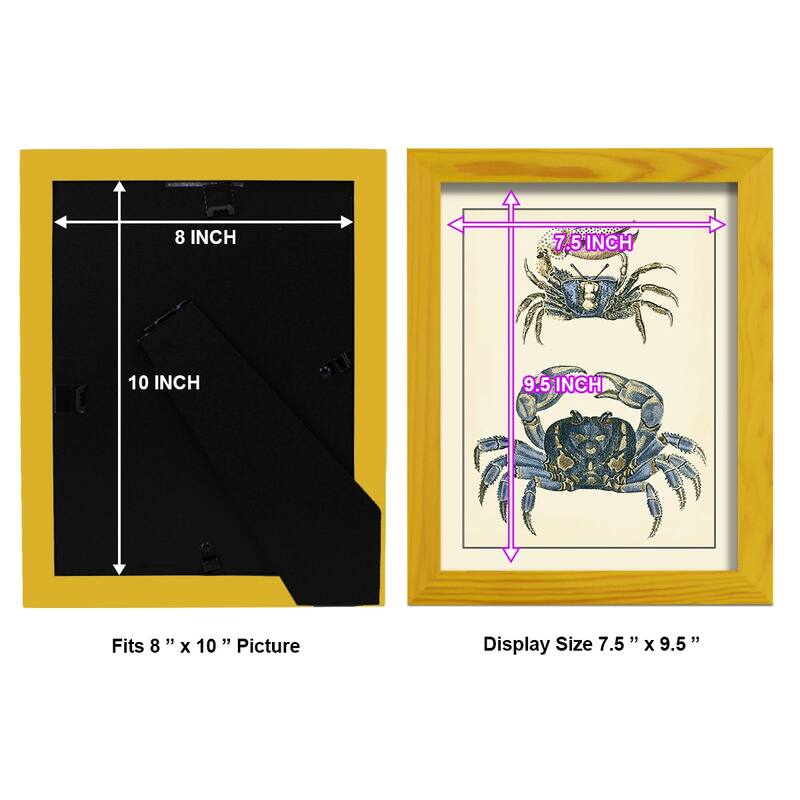 Antique Blue Crabs II -Framed Print w/glass-Cherry Red