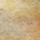 preview thumbnail 5 of 11, Machine Washable Indoor/ Outdoor Abstract Waterboro Chantille Rug