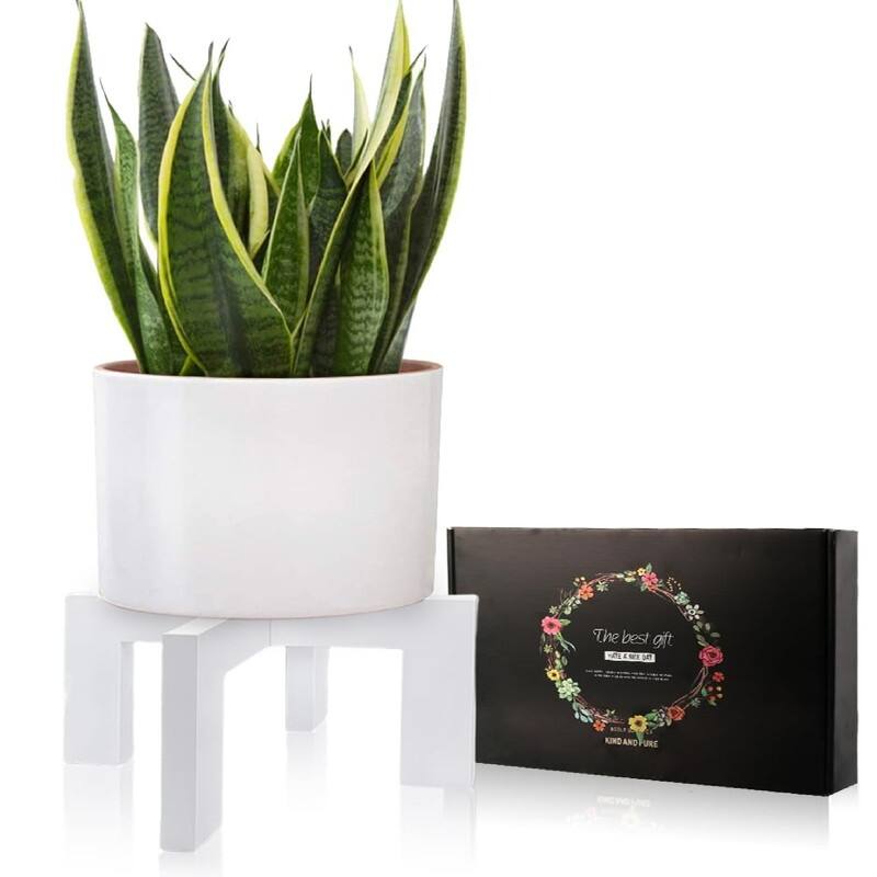 Wood Plant Stand - 11.8 x 11.8 x 7 inches