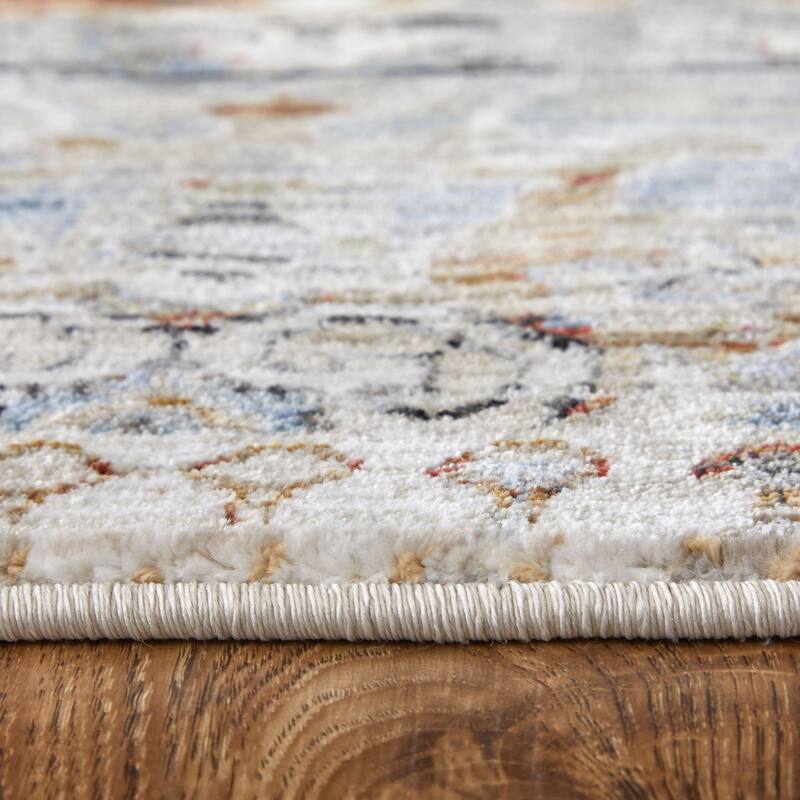 Melrose R39NZ Distressed Transitional Area Rug
