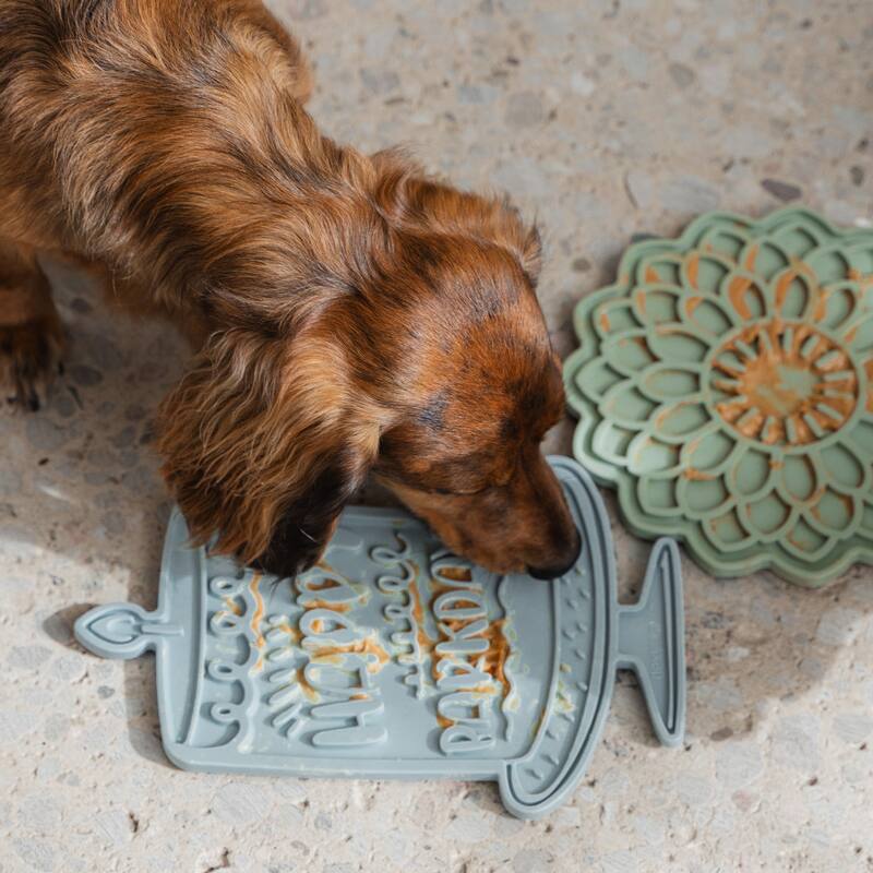 Dexypaws: Enrichment Lick Mat: Seafoam Bark Day Bash - Grooved Silicone