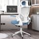 Ergonomic Office Chair, High Back Mesh Desk Chair with Thick Molded ...