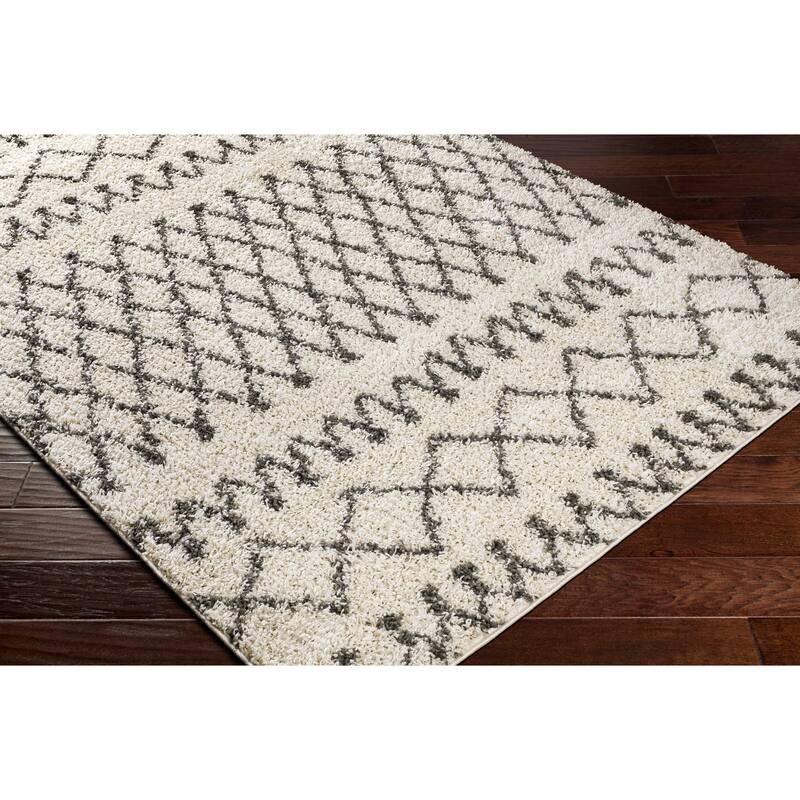 Graydon Moroccan Plush Area Rug
