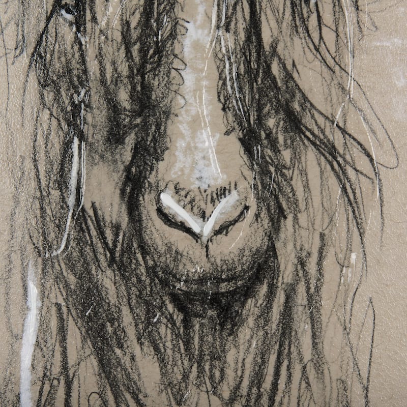Sketch of Animal V (Goat) Framed Art Print