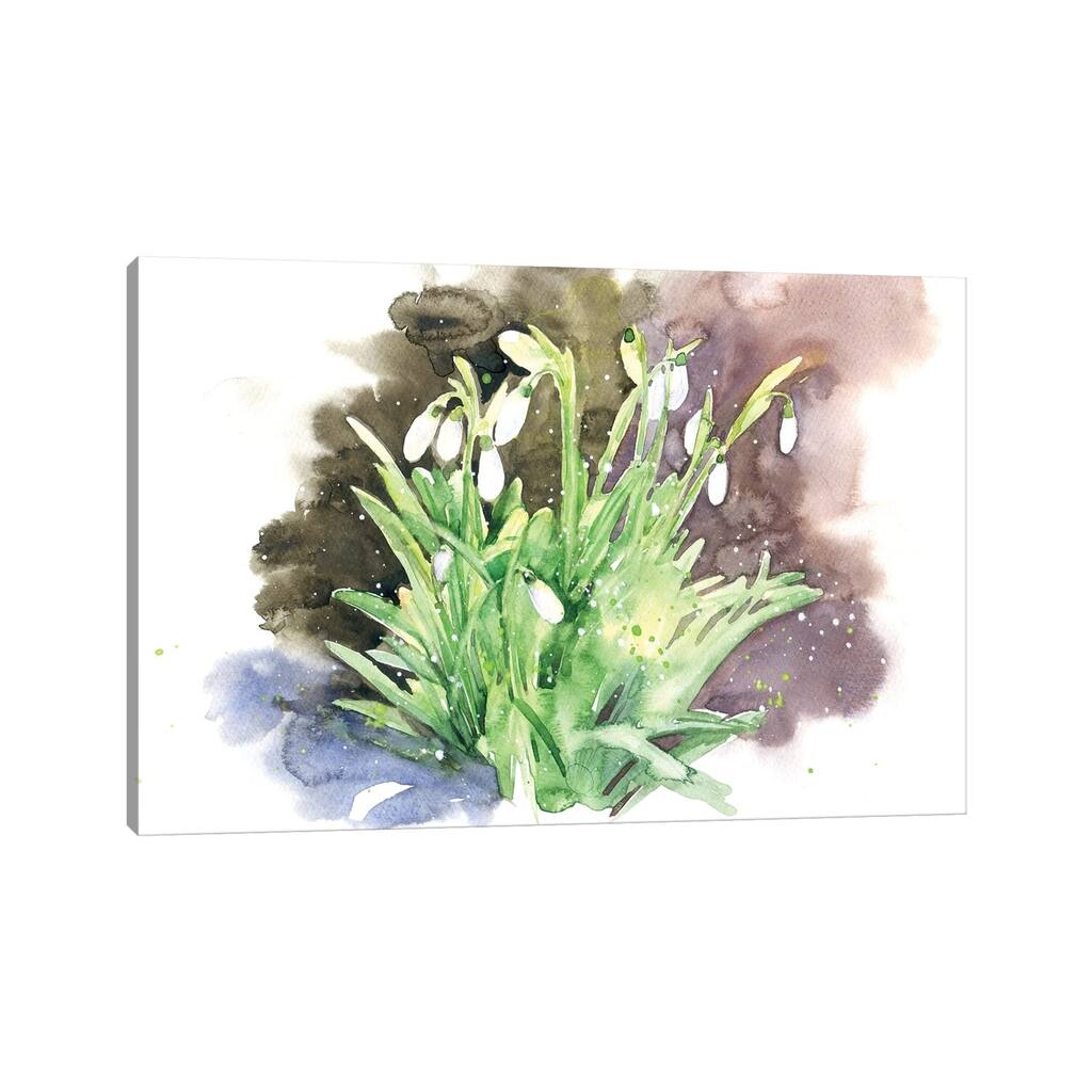 iCanvas "Snowdrops II" by Marina Ignatova Canvas Print