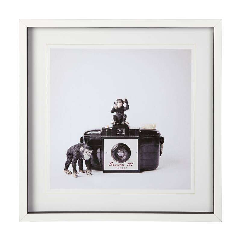 Monkeys & Vintage Camera Framed Art Print