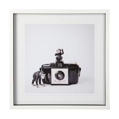 Monkeys & Vintage Camera Framed Art Print