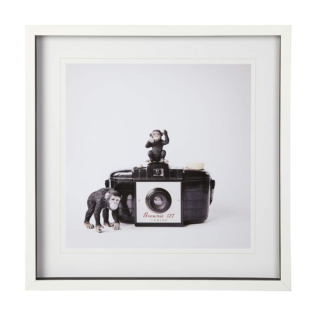 Monkeys & Vintage Camera Framed Art Print