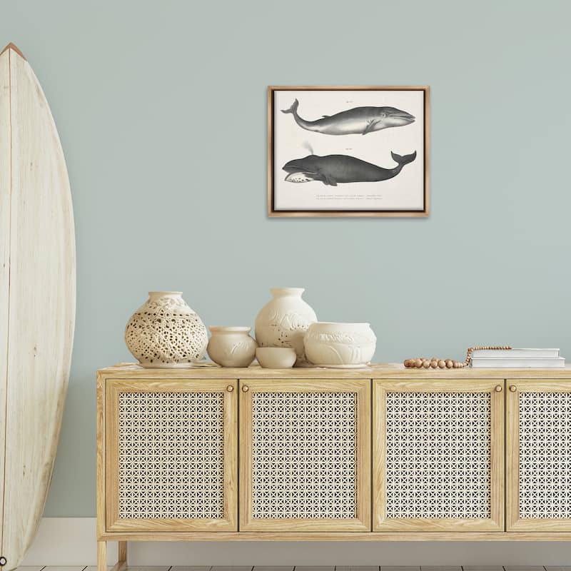 Stupell Vintage Whale Study Diagrams Framed Floater Canvas Wall Art Design By Phillipa Katz
