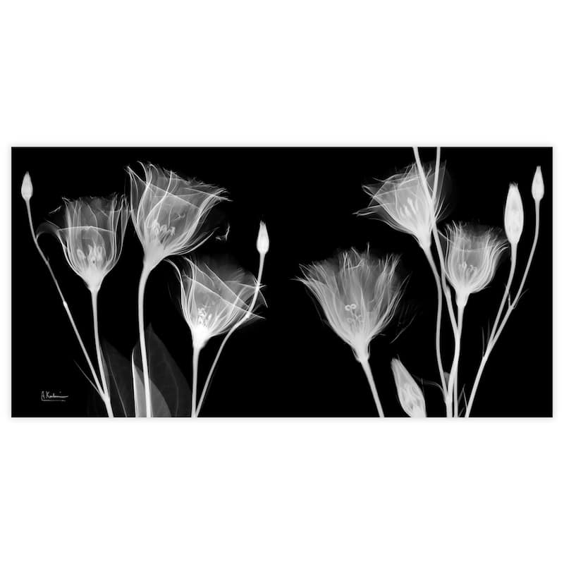 "Gentian Xray" Frameless Free Floating Tempered Glass Panel Graphic Wall Art