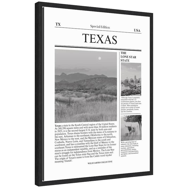 Kate and Laurel Texas Article by Megan Ryan Framed Canvas Wall Art Print - 18x24