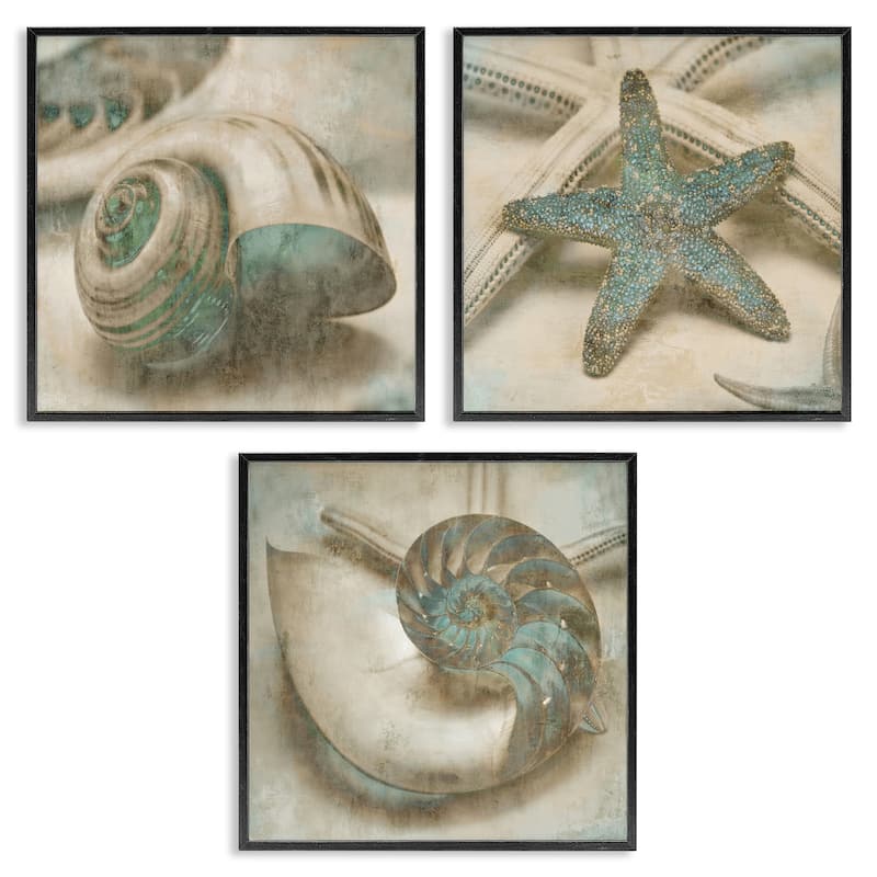 Stupell Star Fish and Sea Shells Distressed Texture Blue Tan Design ,3pc Multi Piece Framed Wall Art Set - 17 x 17 - Black