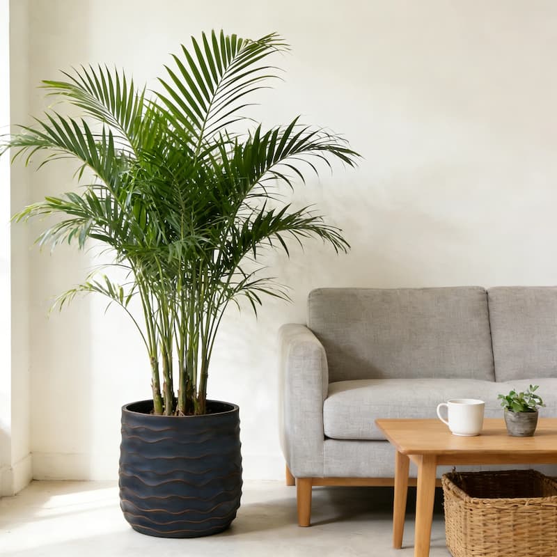 Large Round Planters Set of 2 (16.14"x15.75" & 11.8" x11.42") - Lightweight Plant Pot -Concrete Planter Pots with Drainage Hole