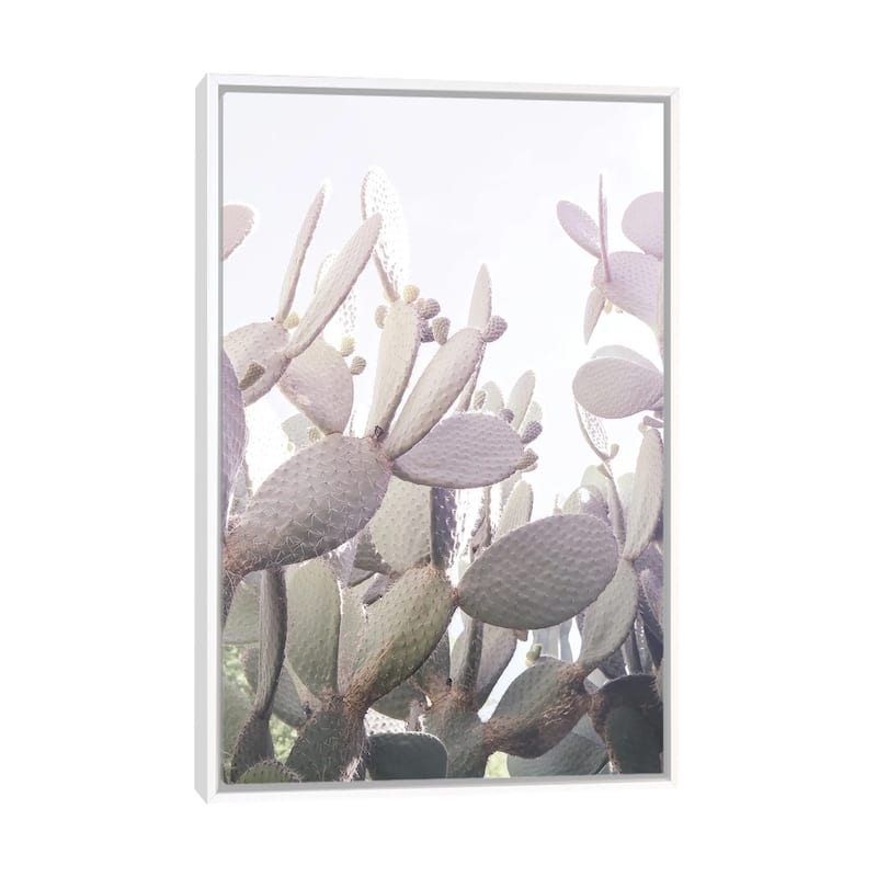 iCanvas "Desert Prince II" by Shot by Clint Framed - White - 26x18