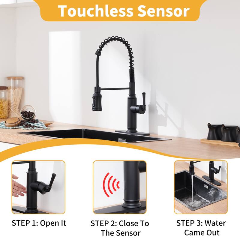 Kitchen Faucet with Pull Down Sprayer Vanity Faucet - Matte Black