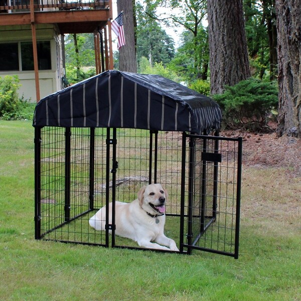lucky dog pet resort kennel