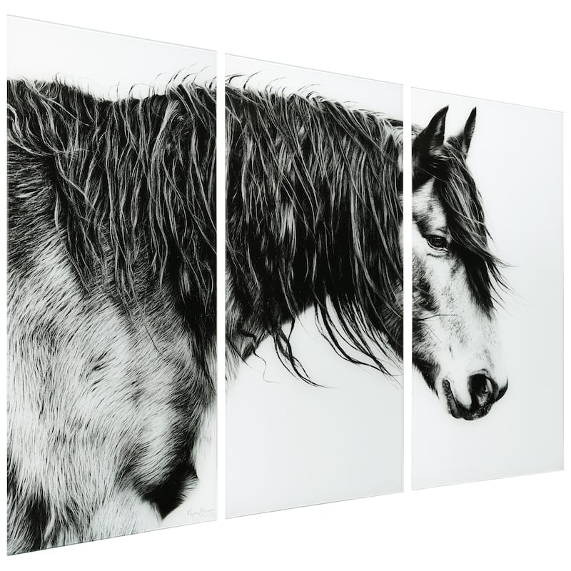 Black and White Horse Portrait ABC Frameless Free Floating Tempered Glass Panel Graphic Wall Art Set of 3