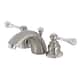 Option Brushed Nickel/Polished Chrome