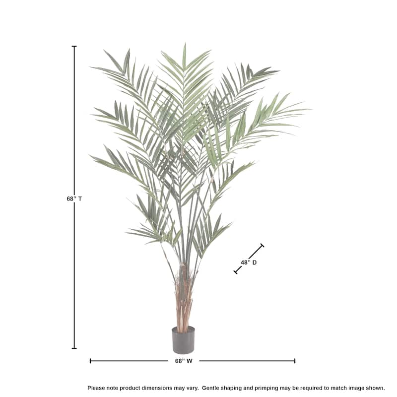 Potted Uv Treated Kentia Palm 7'
