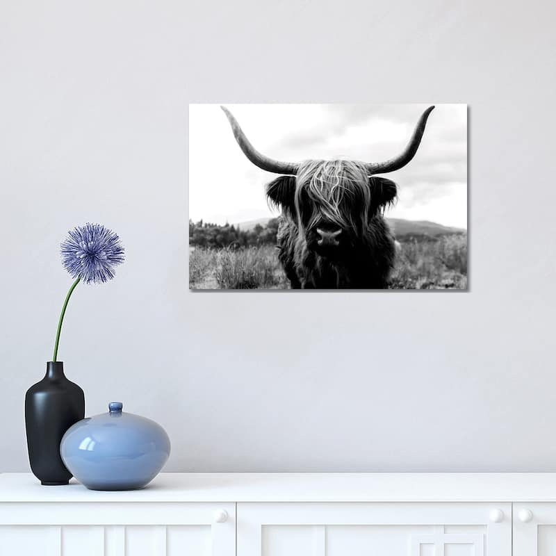 iCanvas "Portrait Of A Scottish Wooly Highland Cow In Scotland - Black And White" by Michael Schauer Canvas Print - 12x18x1.5