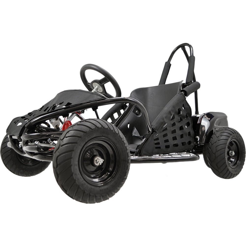 48v kids car