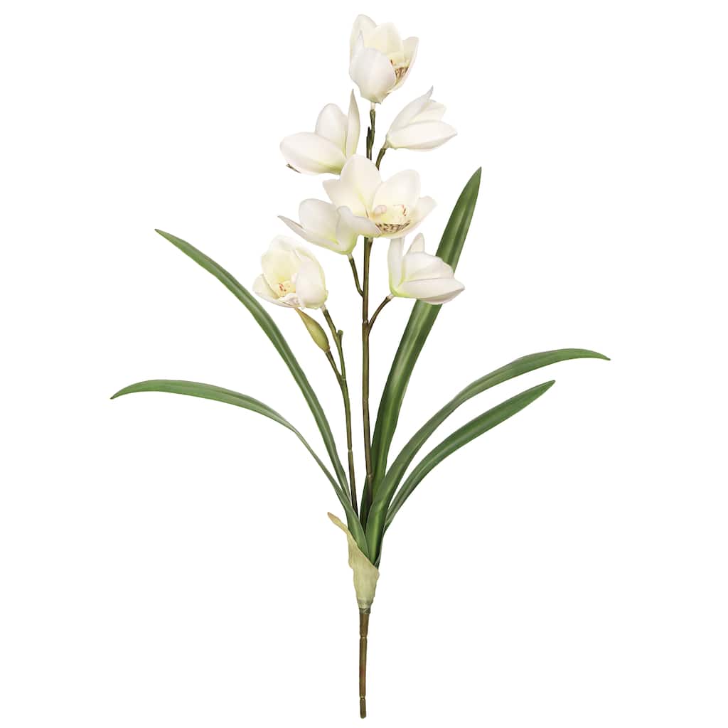 Set of 2 Cream White Artificial Cymbidium Orchid Plant Flower Stem Spray 20in - 20" L x 6" W x 6" DP