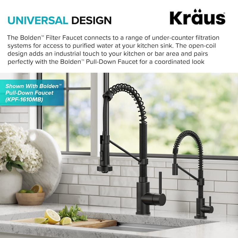 Kraus Bolden 1-Handle Drinking Water Dispenser Beverage Kitchen Faucet