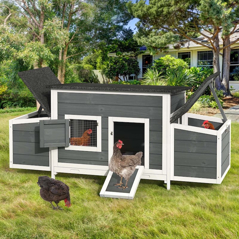 Moasis 67" Outdoor Wooden Chicken Coop Hen House Poultry Cage - Grey