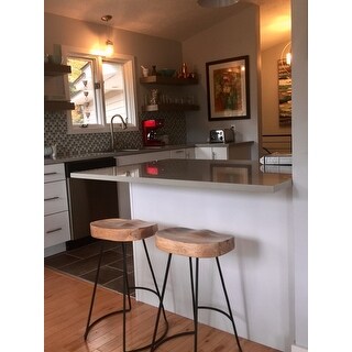 Carbon Loft Ewart Scooped Seat Stool (Set of 2) - N/A