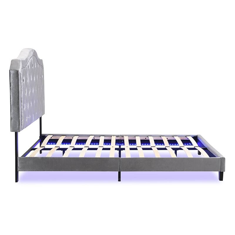 Queen Size Upholstered Platform Bed with LED Lights and Light Grey Velvet