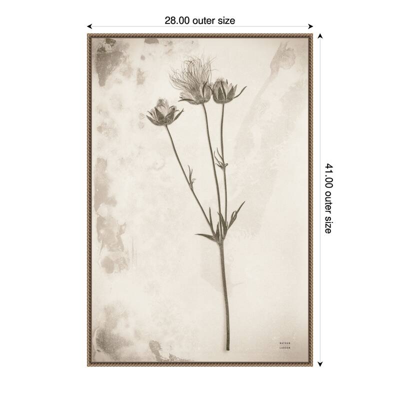 Wildflower Journal Vintage No. 8 by Nathan Larson Framed Canvas Wall Art Print - 28 x 41 in