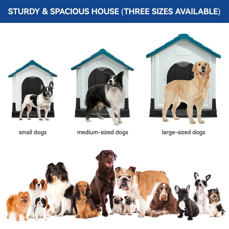 Moasis Slant-roof Dog House with Skylight