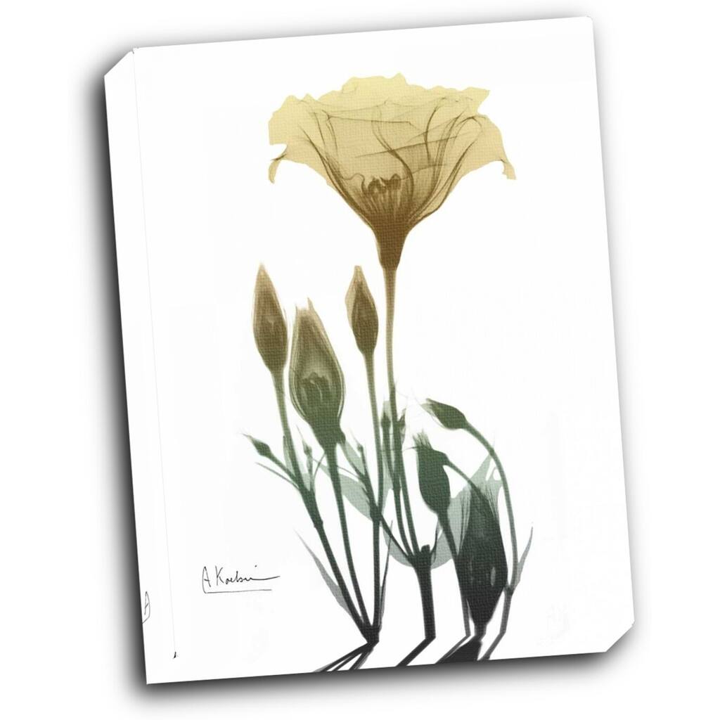 Ocre Bloom 2 16x20 Gallery Wrapped Stretched Canvas