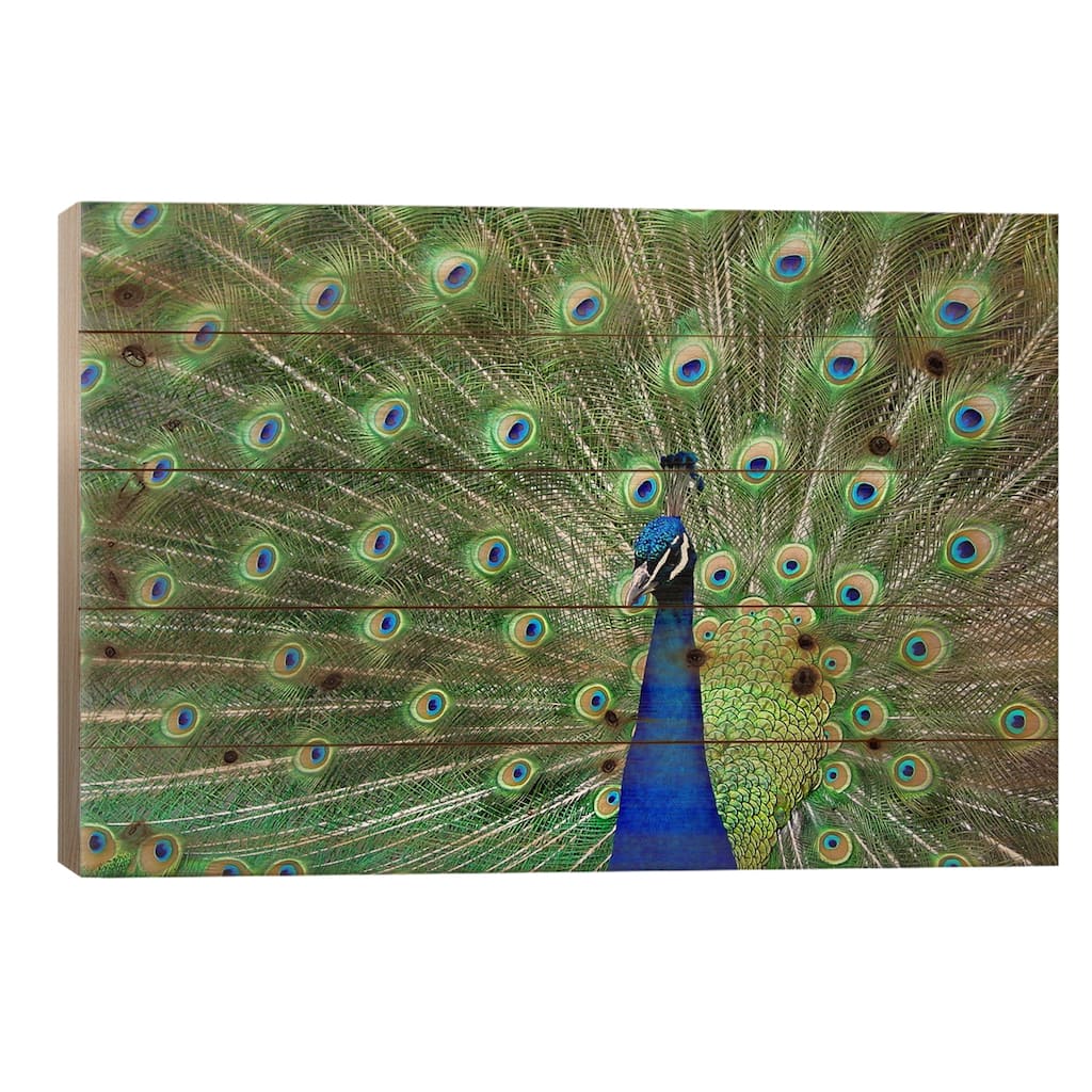 Peacock Feathers Print On Wood by Unknown Artist - Multi-Color