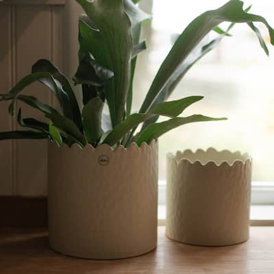 Large Textured Ceramic Pot Planter - 7.75" - Cream